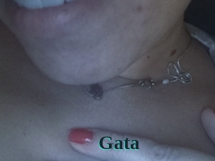 gata Melody Melons