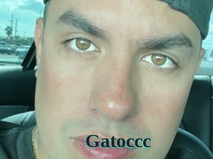 Gatoccc