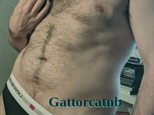 gattorcatnb Melody Melons