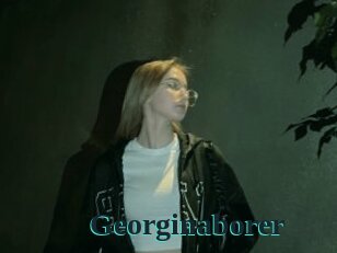 Georginaborer