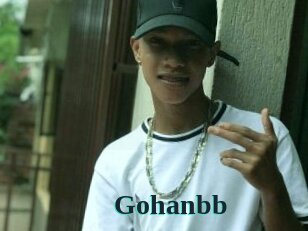 Gohanbb