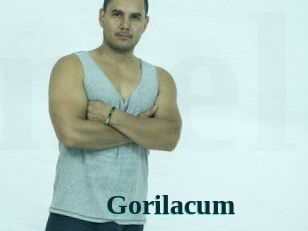 gorilacum Melody Melons