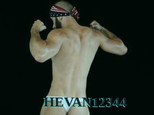 HEVAN12344
