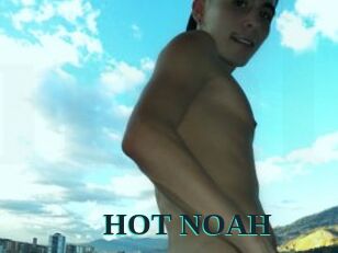 HOT_NOAH