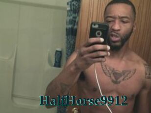 HalfHorse9912