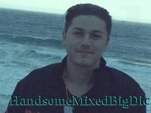 HandsomeMixedBigDick