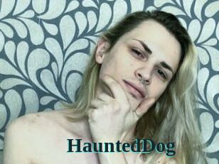 HauntedDog