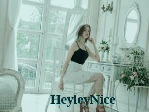 HeyleyNice