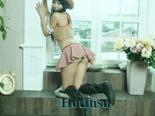 HotInsu