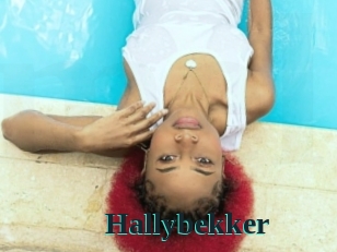Hallybekker