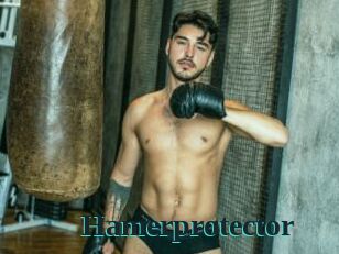 Hamerprotector