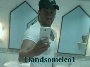 Handsomeleo1