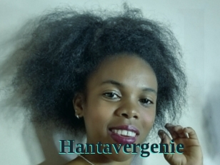 hantavergenie Melody Melons