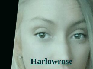 Harlowrose