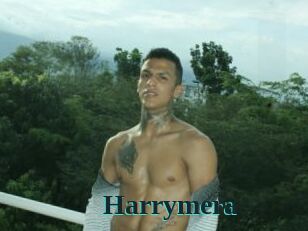 Harrymera