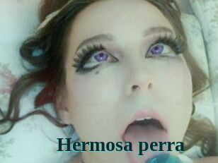 Hermosa_perra