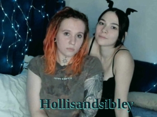 Hollisandsibley