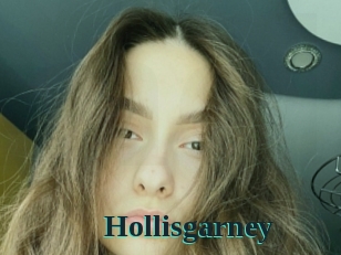 Hollisgarney