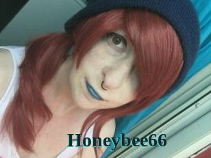 Honeybee66
