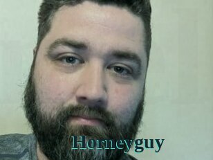 Horneyguy