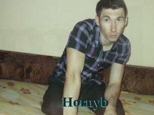 Hornyb
