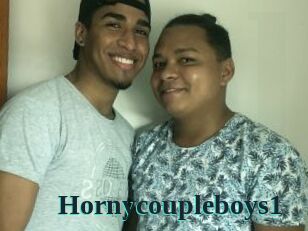 Hornycoupleboys1