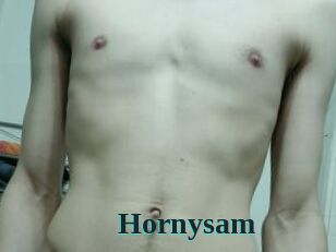 Hornysam
