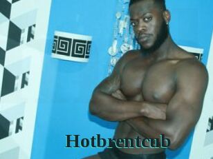 Hotbrentcub
