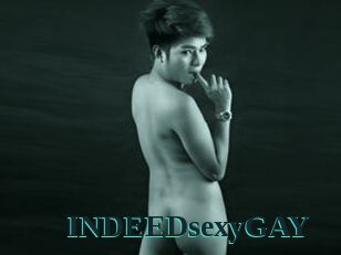 INDEEDsexyGAY