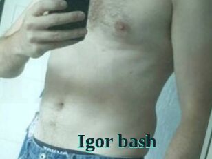 Igor_bash