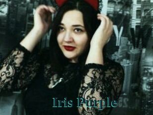 Iris_Purple