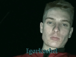 Igorkoshel