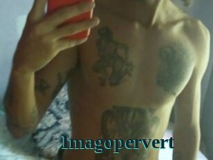 Imagopervert