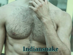 indiansnake Melody Melons