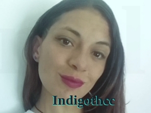 Indigothcc