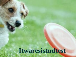 Itwaresistudtest