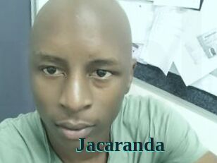 Jacaranda