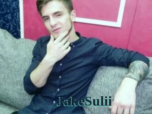 JakeSulii