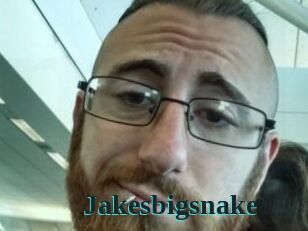 Jakesbigsnake