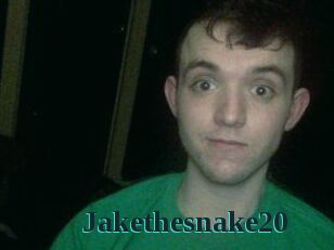Jakethesnake20