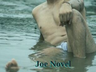 Joe_Novel