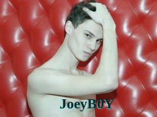 JoeyB0Y