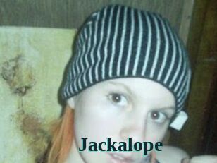 Jackalope