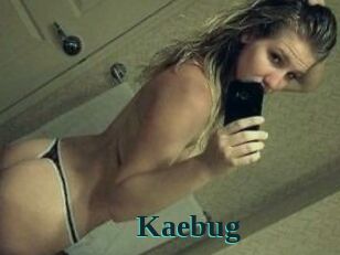 Kaebug