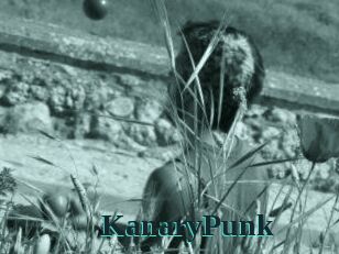KanaryPunk