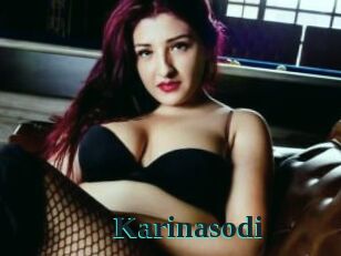 Karinasodi