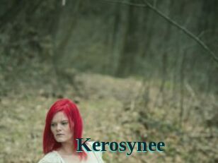 Kerosynee