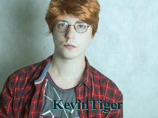 KevinTiger