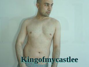 Kingofmycastlee