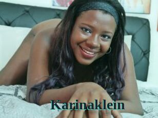 Karinaklein